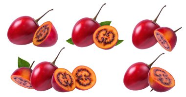 tamarillo beyaz arkaplanda izole edildi