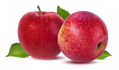 beyaz arkaplanda elma