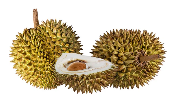 Durian Geïsoleerd Witte Achtergrond — Stockfoto
