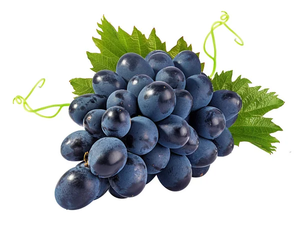 Fresh Grapes Isolated White Background — Stock Photo, Image