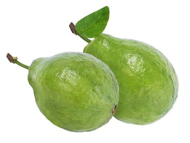 Guava beyaz arkaplanda izole edildi