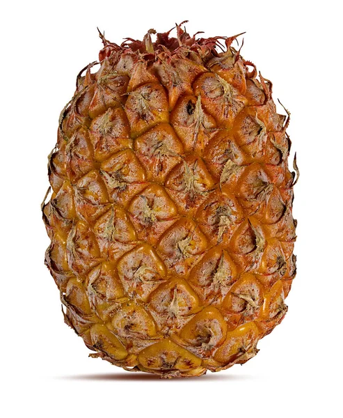 Świeży Ananas Izolowany Białym Tle — Zdjęcie stockowe