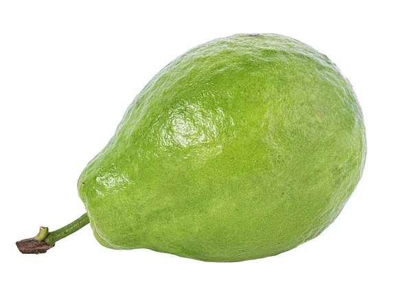 Guawa Izolowana Białym Tle — Zdjęcie stockowe