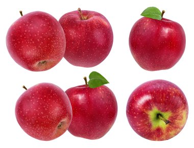 beyaz arkaplanda elma