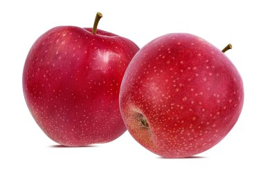 beyaz arkaplanda elma