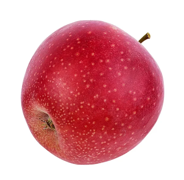 Beyaz Arkaplanda Elma — Stok fotoğraf