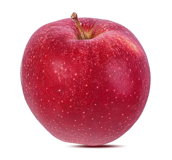 白色背景的苹果 — 图库照片