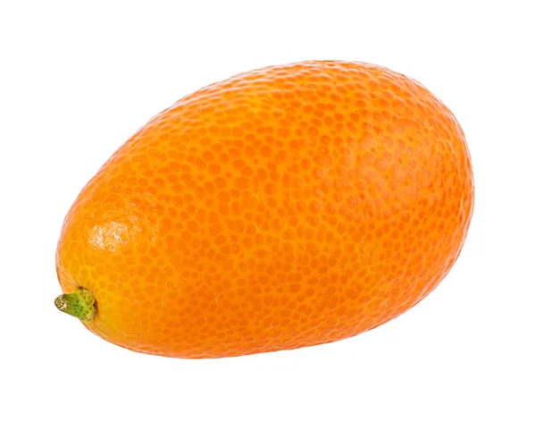 Kumquat Isolato Sfondo Bianco — Foto Stock