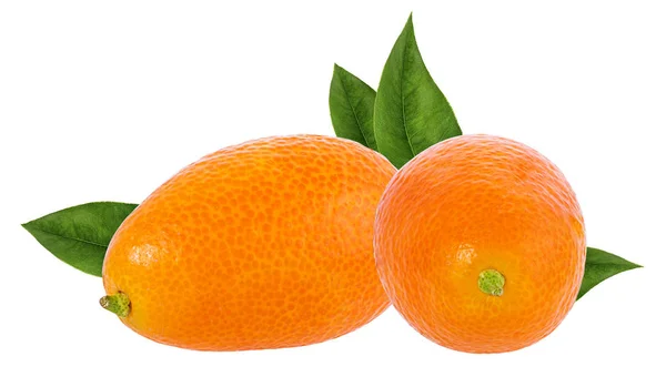 Kumquat Απομονωμένο Λευκό Φόντο — Φωτογραφία Αρχείου