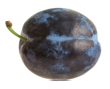 Beyaz arkaplanda erik