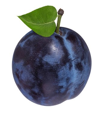 Beyaz arkaplanda erik