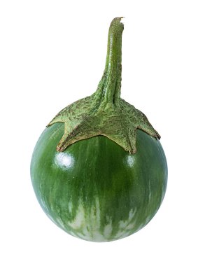 Tay patlıcan Kermit veya izole Lao yeşil çizgili patlıcan 