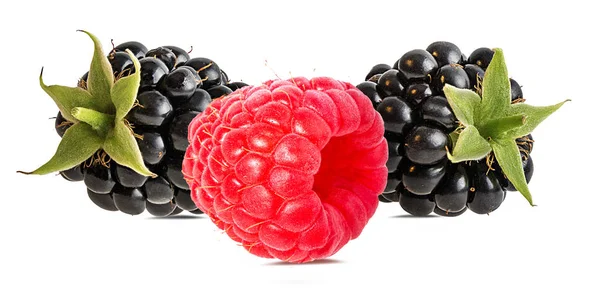 在白色背景上分离的黑莓和覆盆子 — 图库照片