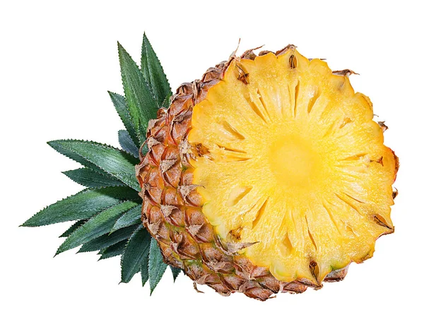 Verse Ananas Geïsoleerd Witte Achtergrond — Stockfoto