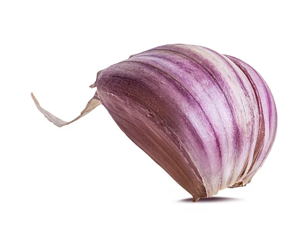 Garlic Isolated White Background — Stock Photo, Image