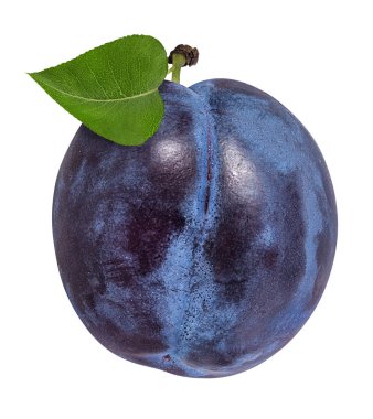 Beyaz arkaplanda erik