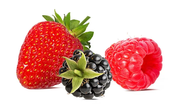 블랙베리 딸기와 라스베리 배경에 — 스톡 사진