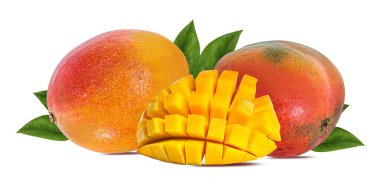 Beyaz arkaplanda yalıtılmış mango meyvesi