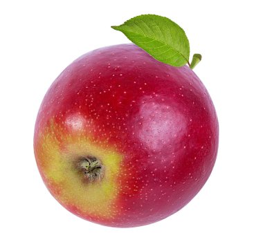 beyaz arkaplanda elma