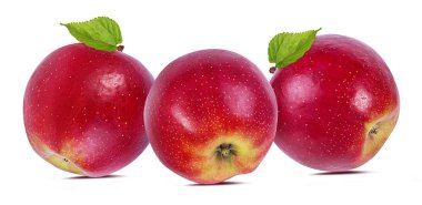 beyaz arkaplanda elma