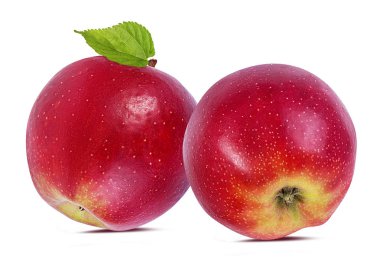 beyaz arkaplanda elma