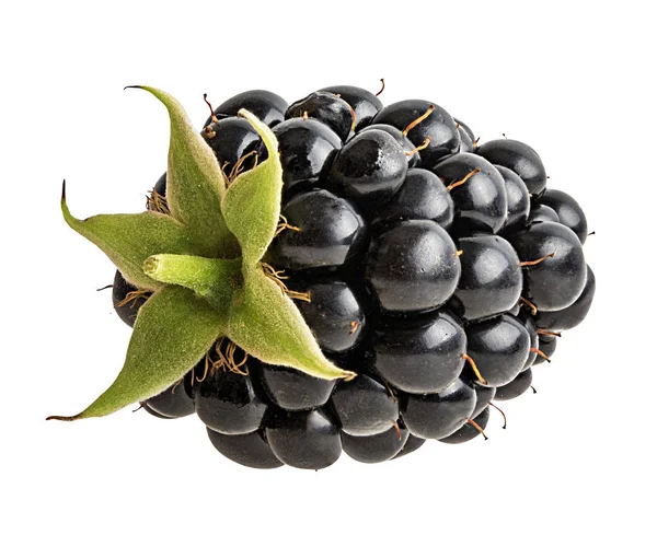 黑莓在白色背景修剪路径上隔离 — 图库照片