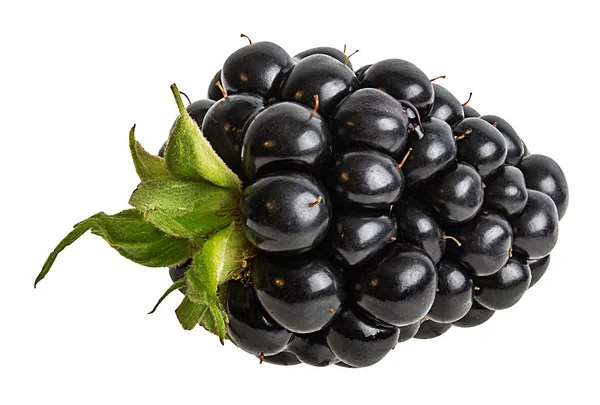 黑莓在白色背景修剪路径上隔离 — 图库照片