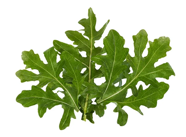 Arugula Geïsoleerd Witte Achtergrond — Stockfoto