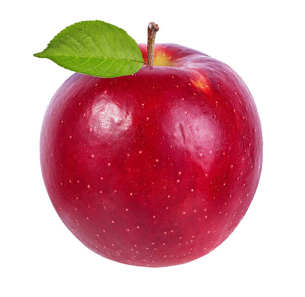 Apple on a white background