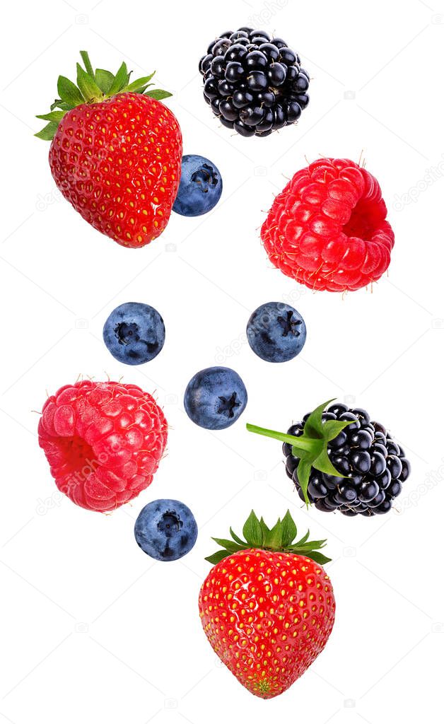 Berries in the air. Falling blackberry, raspberry, blueberry and strawberry fruits isolated on white 