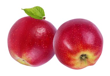 beyaz arkaplanda elma