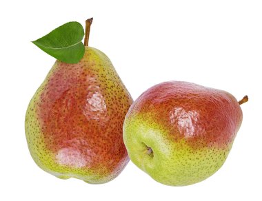 armutlar beyaz arkaplanda izole