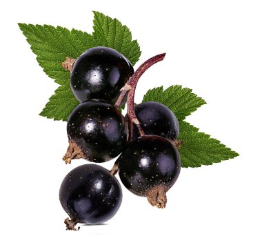 Beyazda siyah frenk üzümü