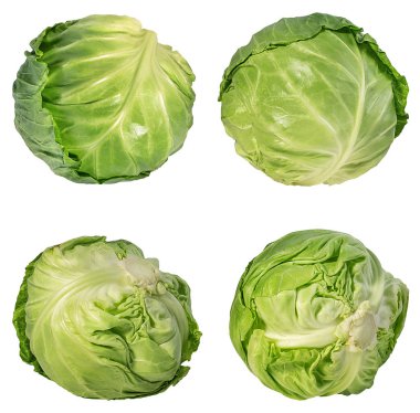 Beyaz arkaplanda yeşil lahana