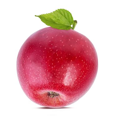 beyaz arkaplanda elma