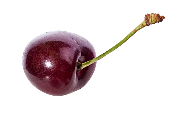 Cereza Aislada Sobre Fondo Blanco — Foto de Stock