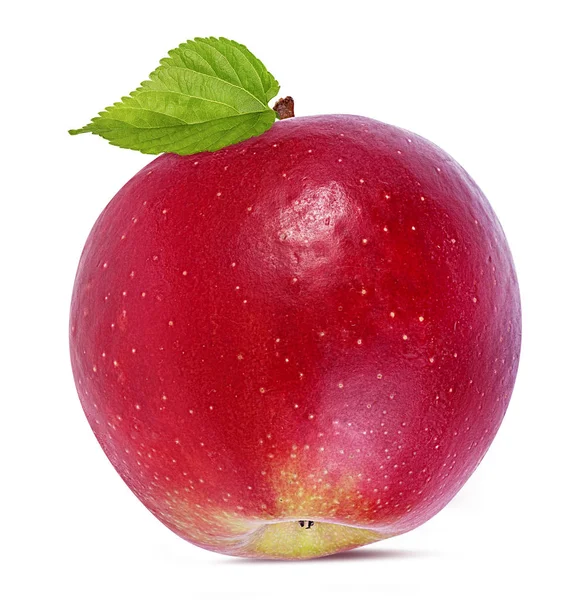 Jabłko Białym Tle — Zdjęcie stockowe