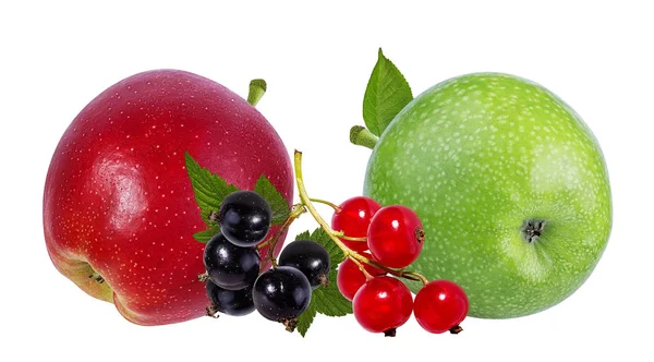 Äpfel Und Johannisbeeren Isoliert Auf Weißem Hintergrund — Stockfoto