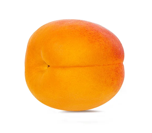 Apricot Isolated White Background — Stock Photo, Image