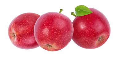 beyaz arkaplanda elma