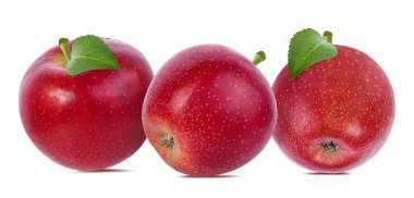 beyaz arkaplanda elma