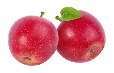 beyaz arkaplanda elma