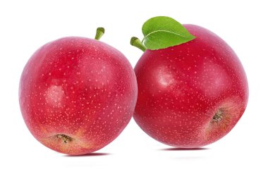 beyaz arkaplanda elma