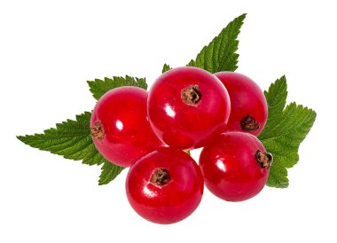 Beyaz arkaplanda kırmızı frenk üzümü izole edildi