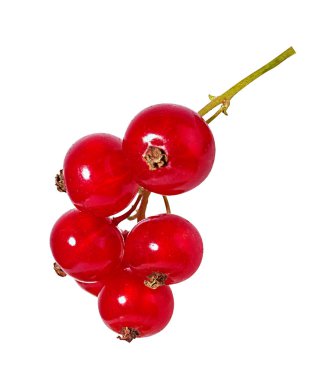 Beyaz arkaplanda kırmızı frenk üzümü izole edildi