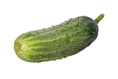 salatalık beyaz arkaplanda izole edildi