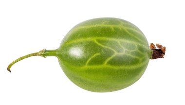 kruisbes geïsoleerd op witte achtergrond