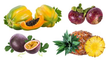 Collection of exotic fruits isolated on a white background clipart