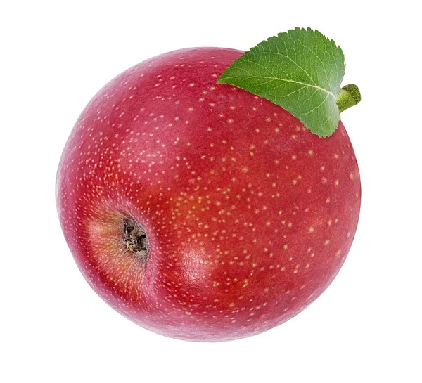 Apple White Background — Stock Photo, Image