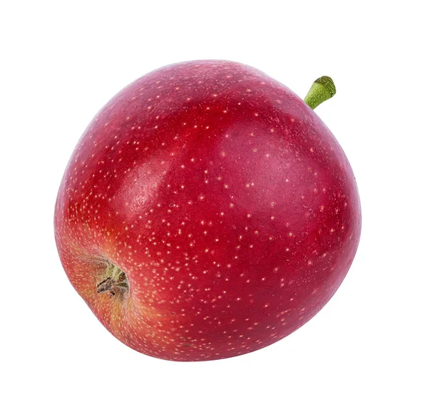 Яблуко Білому Тлі — стокове фото